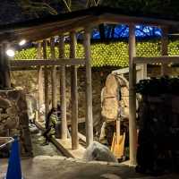 Holidays at Nabana no Sato, Mie Prefecture