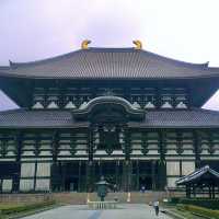 【京都 奈良】東大寺 尋找小鹿斑比📍