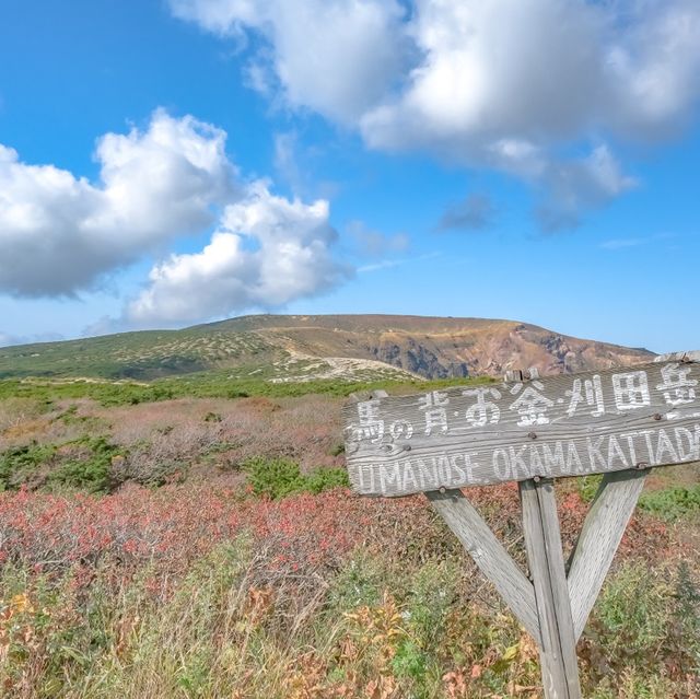 蔵王・苅田岳の美しい紅葉