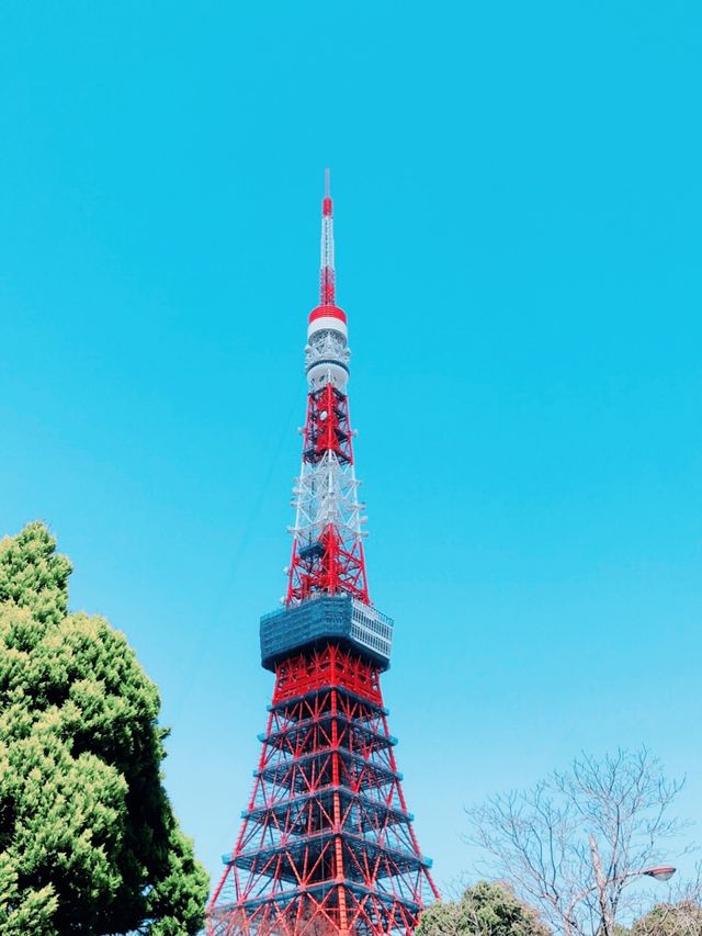 มุมลับสุดปัง 🗼Tokyo Tower