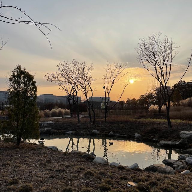 추운 겨울 실내 데이트 장소 추천, 마곡 서울 식물원