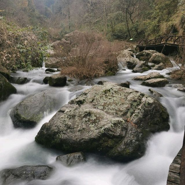 Shenglixia in Pujiang