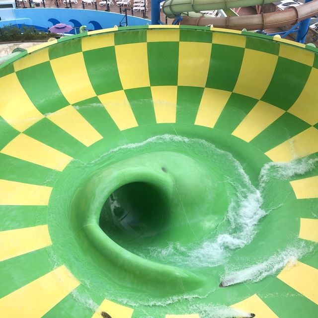 경주월드와 함께 즐기는 워터파크! 캘리포니아 비치 😆🌊