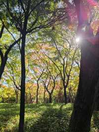 Walkers paradise in the heart of Tokyo!! 