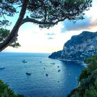 Capri ( a piece of jewel in Naples,Italy)