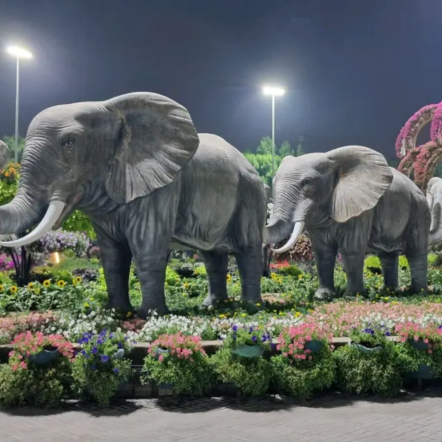 Dubai Miracle Flower Garden 