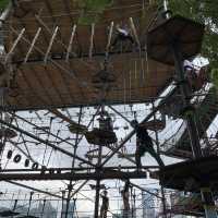 Jungle Gym 