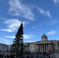倫敦特拉法加廣場聖誕樹