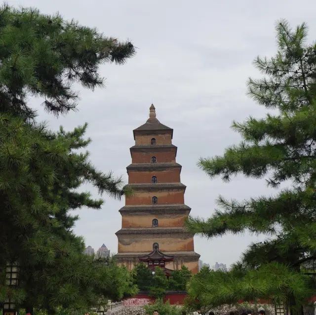 An Unexpected Bird’s Eye View Over Xi’an