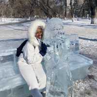 ❄️ICE SCULPTURES at day❄️