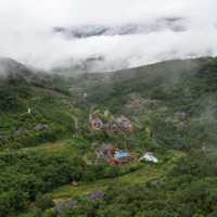 Wellness Oasis | Rainforest Yunnan