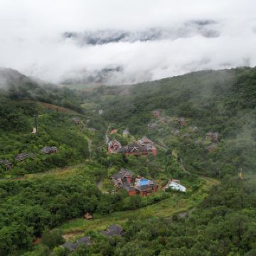 健康綠洲 |雨林雲南