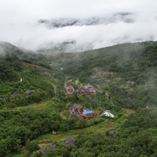 Wellness Oasis | Rainforest Yunnan