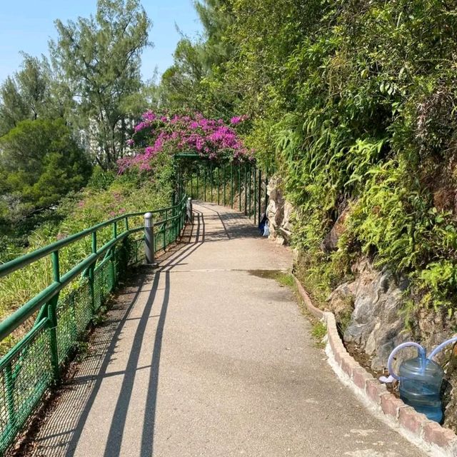 大潭山郊野公园一日游