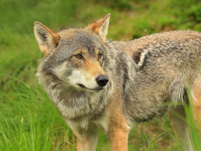 挪威北極動物園