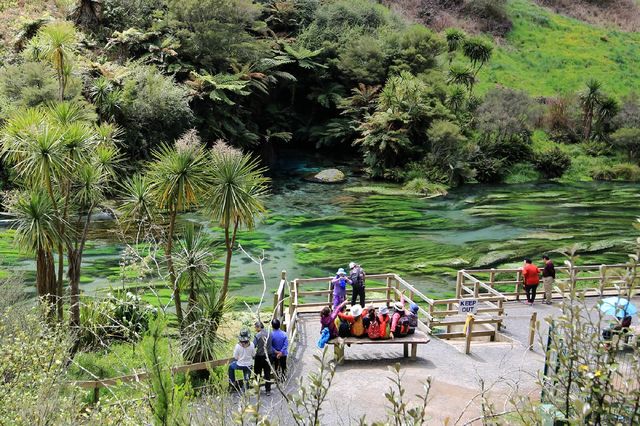 New Zealand's purest Blue Spring