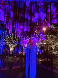 Seattle Bellevue is just at the dimly lit place.