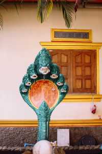 Gorgeous and prominent colors are combined with sculptures that we consider exaggerated.