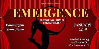 Emergence: Fledgling Circus Takes Flight | Jackrabbit Brewing