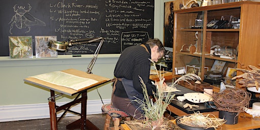 Nature Artist Suzanne Stryk: Studio Tour | William King Museum