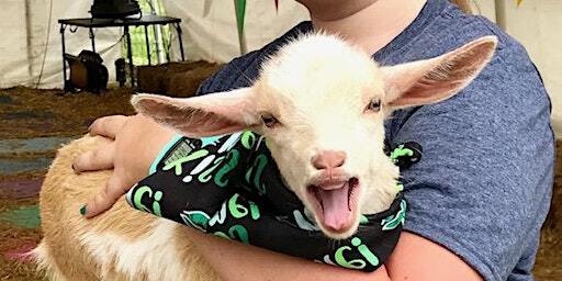 Goat Yoga Nashville- For the Luck O' the Goats | Goat Yoga Nashville