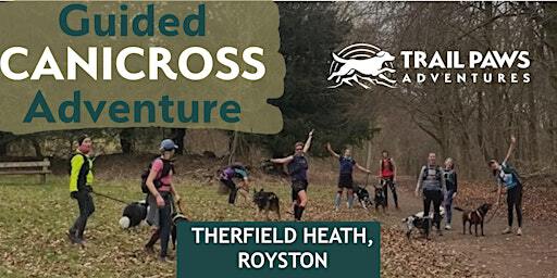 Guided Canicross Adventure Run | Therfield Heath, Baldock Road, Royston, UK