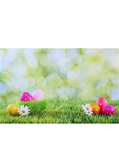 Spring Fling | King Queen Caribbean Bar and Grill