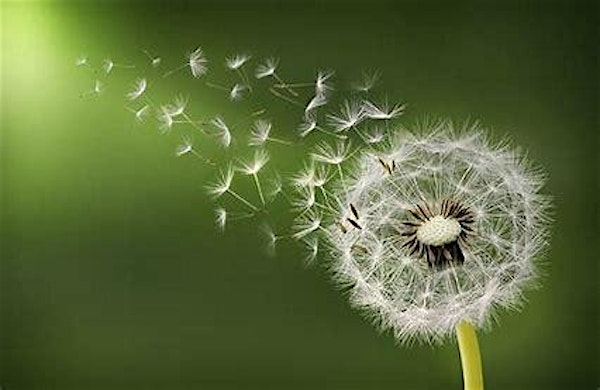 Knowing the Real Me!  a day of personal development and self discovery | KG House, Dallington, Northampton