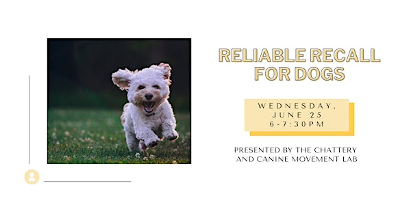 Reliable Recall for Dogs | The Chattery Downtown