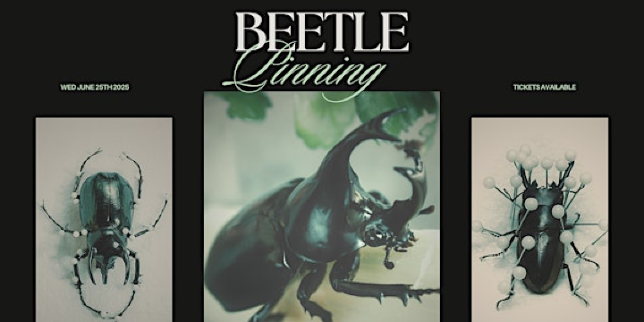 Beetle Pinning Workshop | Pretty Dead Taxidermy