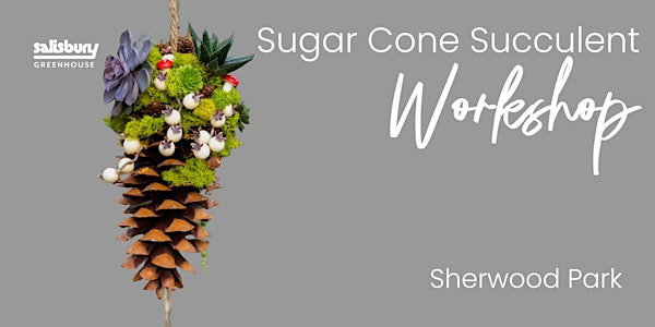 Sugar Cone Succulent | Workshop | Salisbury Greenhouse Bay 1| Sherwood Park | Salisbury Greenhouse