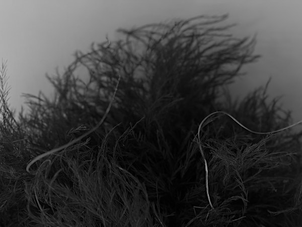 WILD WREATH WORKSHOP | La Fabrique St-George Winery