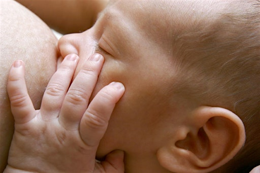 Breastfeeding Your Baby | 81 Highland Ave