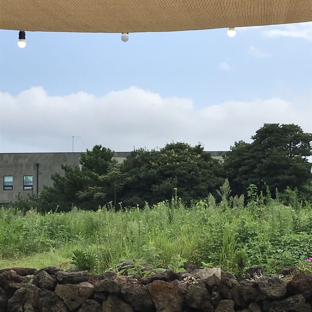 전복, 딱새우, 게! 장이 세개!!! 제주도 삼다장