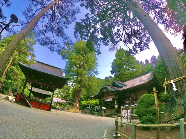 【山梨旅行】富士山の由緒ある神社！！