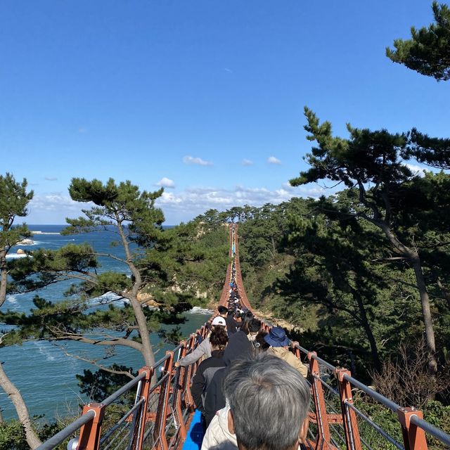 [울산] 대왕암 출렁다리 🌉, 바닷바람을 더 생생하게