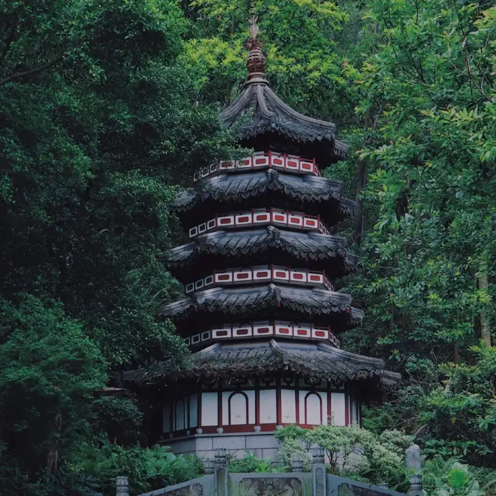 深圳園博園