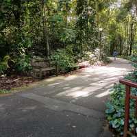 Family Friendly Nature Park at Bukit Batok
