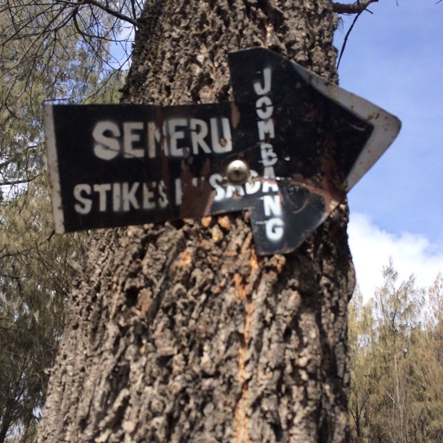 Stunning Semeru (Mount)