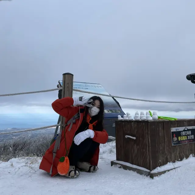 🏔미니 한라산, 어승생악에서 눈오리만들기❄️🐤