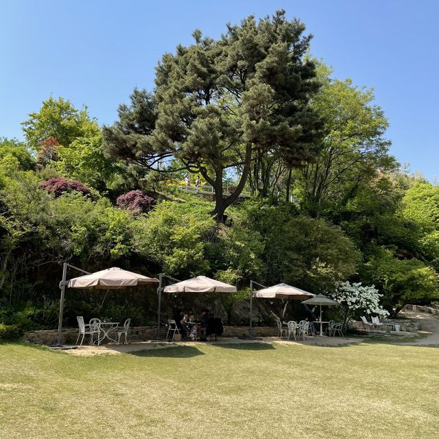 넓은 잔디밭, 그리고 뒷산이 있는 카페?!