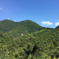 市區行山 - 金督馳馬徑