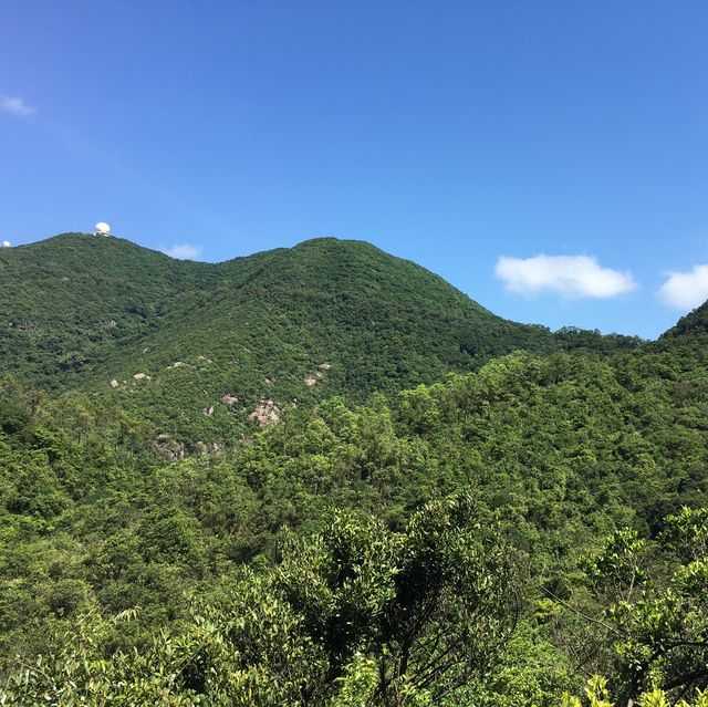 市區行山 - 金督馳馬徑 市區行山 - 金督馳馬徑