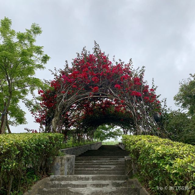 澳門人遊澳門🇲🇴行山健康篇