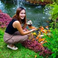 ร้านอาหารและคาเฟ่ในสวน พัทยา
