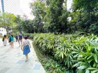 Greenery amidst the concrete jungle