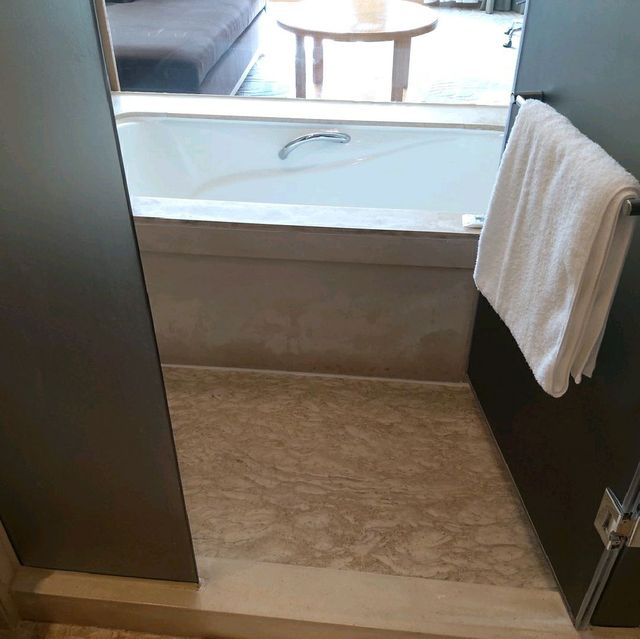 凱悅#抵住酒店#