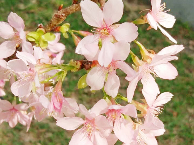 蝴蝶灣公園