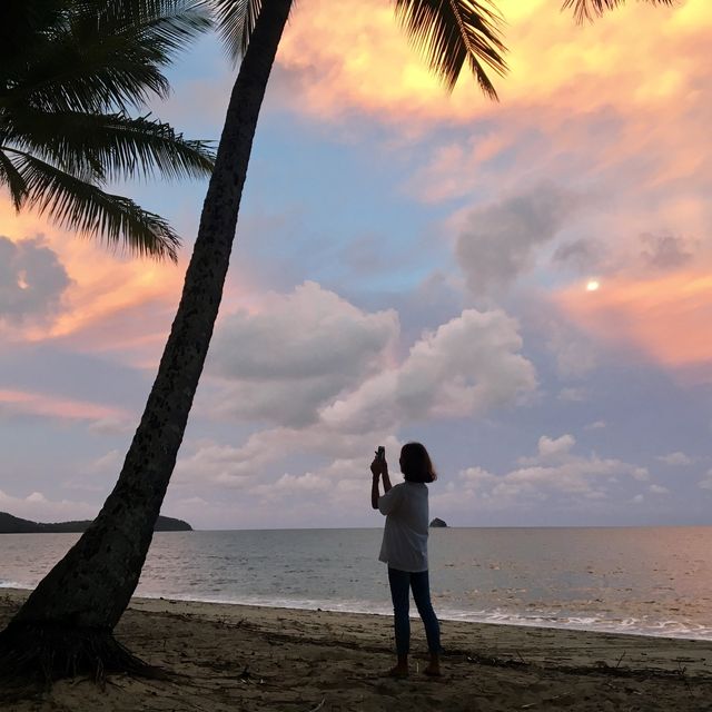 호주 퀸즐랜드 야자수 해변, 팜코브🏝의 선셋✨