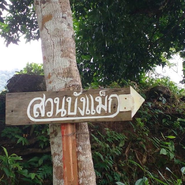 แช่อ่างน้ำ..สัมผัสธรรมชาติ.ที่สวนบังแม็กซ์